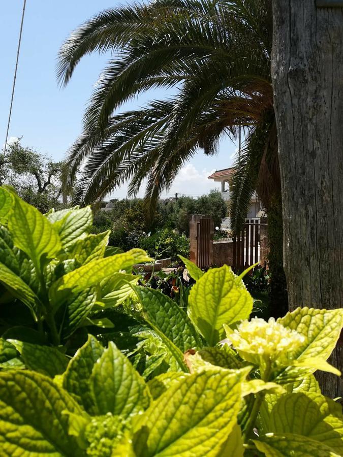 Residenza Aurora Lejlighedshotel Ostuni Eksteriør billede